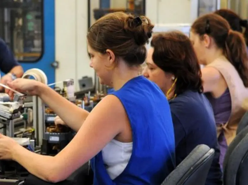 Trabalhadores em ambiente de emprego - mercado de trabalho